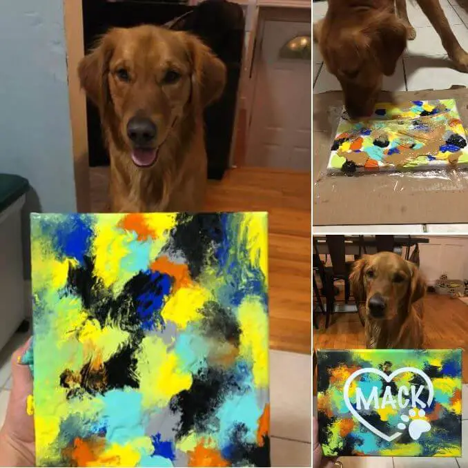 15 Adorable Pictures Of Dogs In The Artistic Dog Challenge 